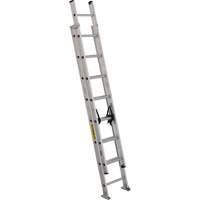 Industrial Heavy-Duty Extension Ladders (3200D Series), 300 lbs. Cap., 13' H, Grade 1A The Estey Group