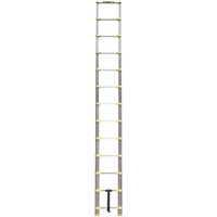 &eacute;chelle t&eacute;lescopique, 3' - 12', Aluminium, Capacit&eacute; de 250 lb, Type 1 The Estey Group