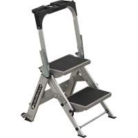 Tilt & Roll Step Stool Ladder, 2 Steps, 23" x 21" x 34.50" High The Estey Group