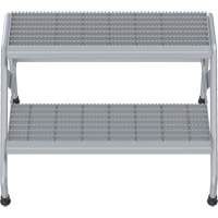 Aluminum Step Stand, 2 Step(s), 32-13/16" W x 24-9/16" L x 20" H, 500 lbs. Capacity The Estey Group
