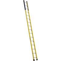 Single Manhole Ladder, 16', Fibreglass, 375 lbs., CSA Grade 1AA The Estey Group