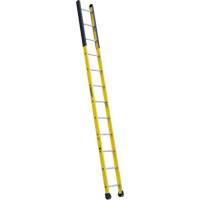 Single Manhole Ladder, 12', Fibreglass, 375 lbs., CSA Grade 1AA The Estey Group