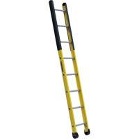 Single Manhole Ladder, 8', Fibreglass, 375 lbs., CSA Grade 1AA The Estey Group