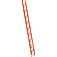 BuildMan&reg; Extension Ladder, 300 lbs. Cap., 36' H, Grade 1A The Estey Group