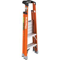 Escabeau avec plateforme Safespace, 2', Cap. De 300 lb The Estey Group