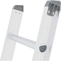 Jobsite Series Extension Ladder, 225 lbs. Cap., 32' H, Grade 2 The Estey Group