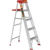Step Ladder with Paint Tray, 5', Aluminum, 200 lbs. Capacity, Type 3 The Estey Group