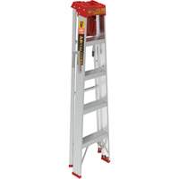 Step Ladder with Paint Tray, 5', Aluminum, 200 lbs. Capacity, Type 3 The Estey Group