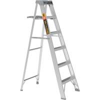 Step Ladder with Paint Tray, 6', Aluminum, 225 lbs. Capacity, Type 2 The Estey Group
