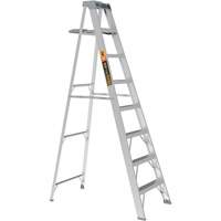 Step Ladder with Paint Tray, 8', Aluminum, 225 lbs. Capacity, Type 2 The Estey Group