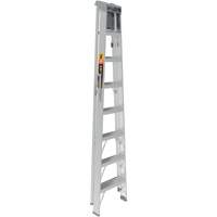 Step Ladder with Paint Tray, 8', Aluminum, 225 lbs. Capacity, Type 2 The Estey Group