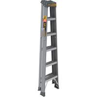 Step Ladder, 6', Fibreglass, 225 lbs. Capacity, Type 2 The Estey Group