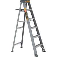 Step Ladder with Paint Tray, 6', Fibreglass, 225 lbs. Capacity, Type 2 The Estey Group