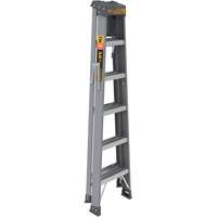 Step Ladder with Paint Tray, 6', Fibreglass, 225 lbs. Capacity, Type 2 The Estey Group