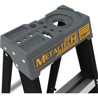 Step Ladder with Paint Tray, 10', Fibreglass, 250 lbs. Capacity, Type 1 The Estey Group
