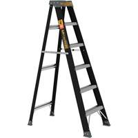 Step Ladder, 6', Fibreglass, 250 lbs. Capacity, Type 1 The Estey Group