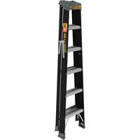 Step Ladder, 6', Fibreglass, 250 lbs. Capacity, Type 1 The Estey Group