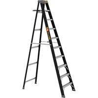 Step Ladder with Paint Tray, 10', Fibreglass, 250 lbs. Capacity, Type 1 The Estey Group