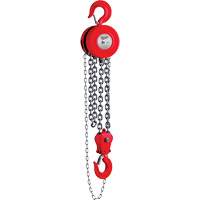 Chain Hoist, 8' Lift, 11023 lbs. (5 tons) Capacity The Estey Group
