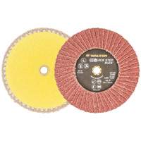 QUICK-STEP FLEX, 5" x Type 29, Grain 40, Oxyde d'aluminium The Estey Group