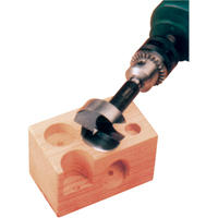 Super Forstner Bits, 1/4", 5/16" Shank, 3-1/2" Length The Estey Group