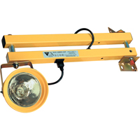 Multi Swing Dock Lights
