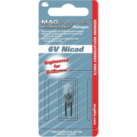 Replacement Bulb for Rechargeable Flashlight The Estey Group
