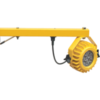 Lampes pour quais de chargement robustes, Bras 24", 300 W, Ampoule DEL, M&eacute;tal The Estey Group