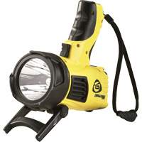 Projecteurs style pistolet Waypoint, DEL, 550 Lumens, Piles C The Estey Group