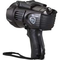 Projecteurs style pistolet Waypoint, DEL, 550 Lumens, Piles C The Estey Group