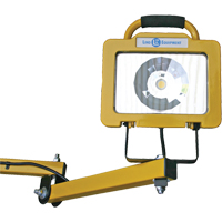 Lampe robuste pour quais, Bras 40", 38 W, Ampoule DEL, M&eacute;tal The Estey Group