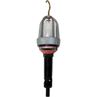 Baladeuses pour emplacements dangereux, DEL, 20 W, 2400 Lumens The Estey Group