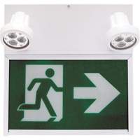 Running Man Exit Sign, LED, Battery Operated/Hardwired, 12" L x 12 1/2" W, Pictogram The Estey Group