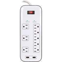 Limiteurs de surtension avec chargeur USB, 8 Prises, 2400 J, 1875 W, Cordon 6' The Estey Group