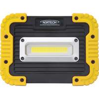 Portable Work Light, LED, 10 W, 1000 Lumens, Plastic Housing The Estey Group