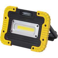 Portable Work Light, LED, 10 W, 1000 Lumens, Plastic Housing The Estey Group