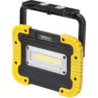 Portable Work Light, LED, 10 W, 1000 Lumens, Plastic Housing The Estey Group