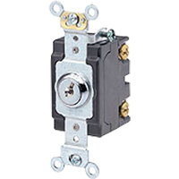 Heavy-Duty Key Locking Switch The Estey Group
