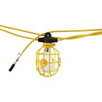 LED Bulb Stringlights, 10 Lights, 1200" L, Plastic Housing The Estey Group