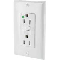 SmartlockPro&reg; Extra Heavy-Duty Self-Test GFCI Receptacle The Estey Group