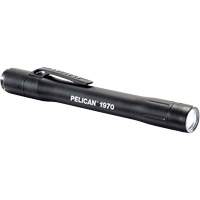 Lampe stylo, DEL, 139 lumens, Corps en Plastique, piles AAA, Compris The Estey Group