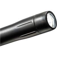Lampe stylo, DEL, 139 lumens, Corps en Plastique, piles AAA, Compris The Estey Group