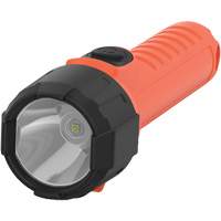 Lampe de poche portative Intrinsically Safe, DEL, 150 lumens, Piles AA The Estey Group
