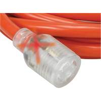 Rallonge pour g&eacute;n&eacute;ratrice &agrave; quatre prises, Ext&eacute;rieur, AWG 10, 30 A, 4 prise(s), 25' The Estey Group