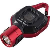 Lampe de poche USB Pocket Mate The Estey Group