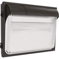 TWX3 Wall Luminaire, LED, 347 V, 14" H x 18" W x 5" D The Estey Group