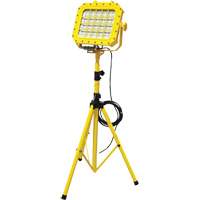 Explosion Proof Floodlight with Tripod, LED, 40 W, 5600 Lumens, Aluminum Housing The Estey Group