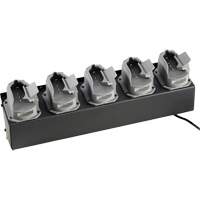 Chargeur de batteries de lampe de poche Survivor X The Estey Group