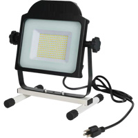 Floodlight, LED, 100 W, 10000 Lumens The Estey Group
