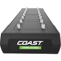 ZXCS16 Zithion-X Charging Station  The Estey Group